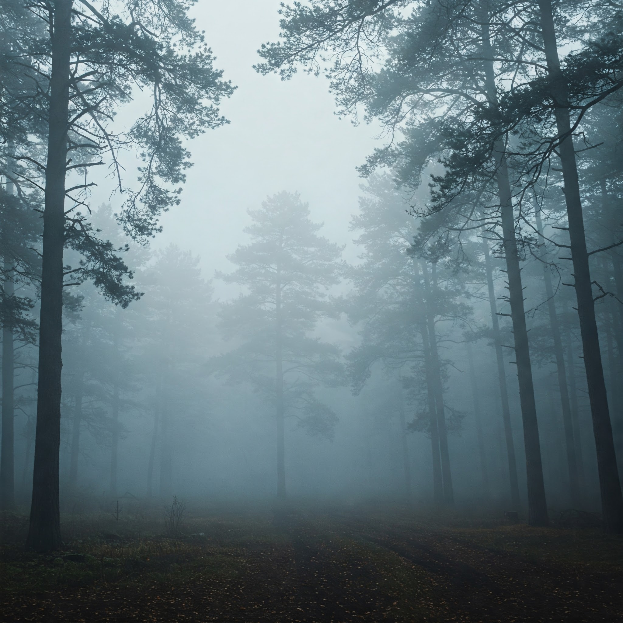 foggy