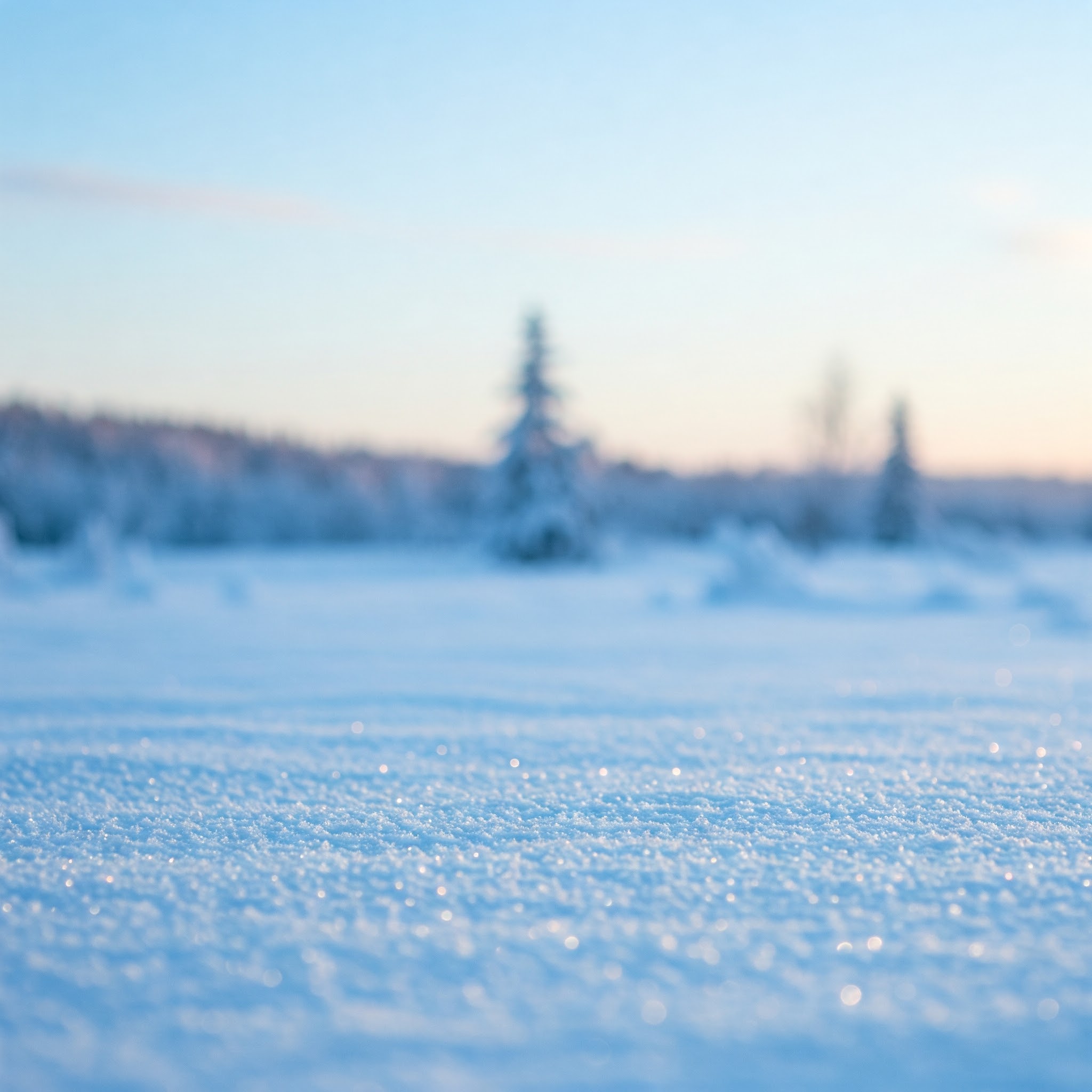 snowy