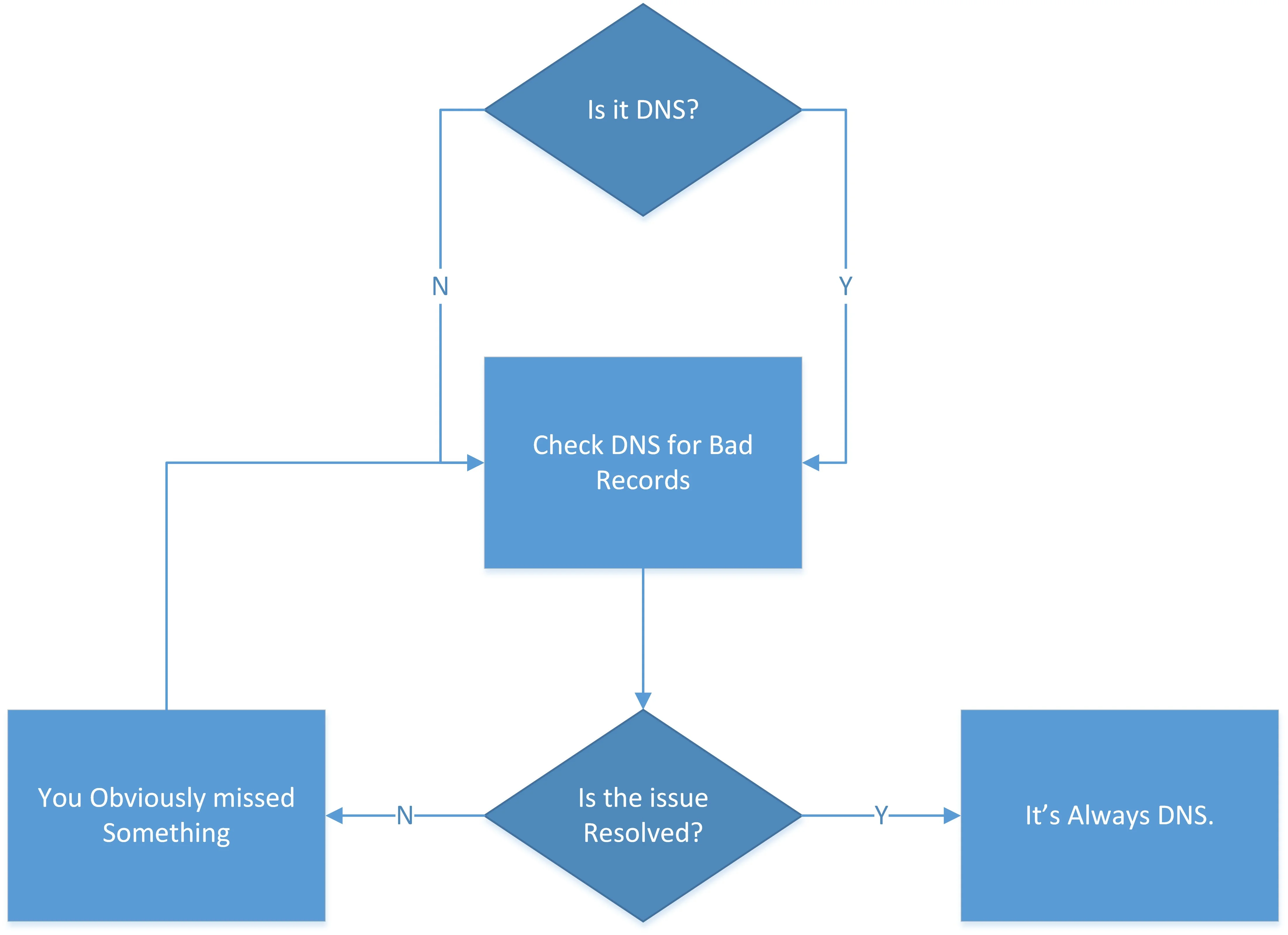 check dns